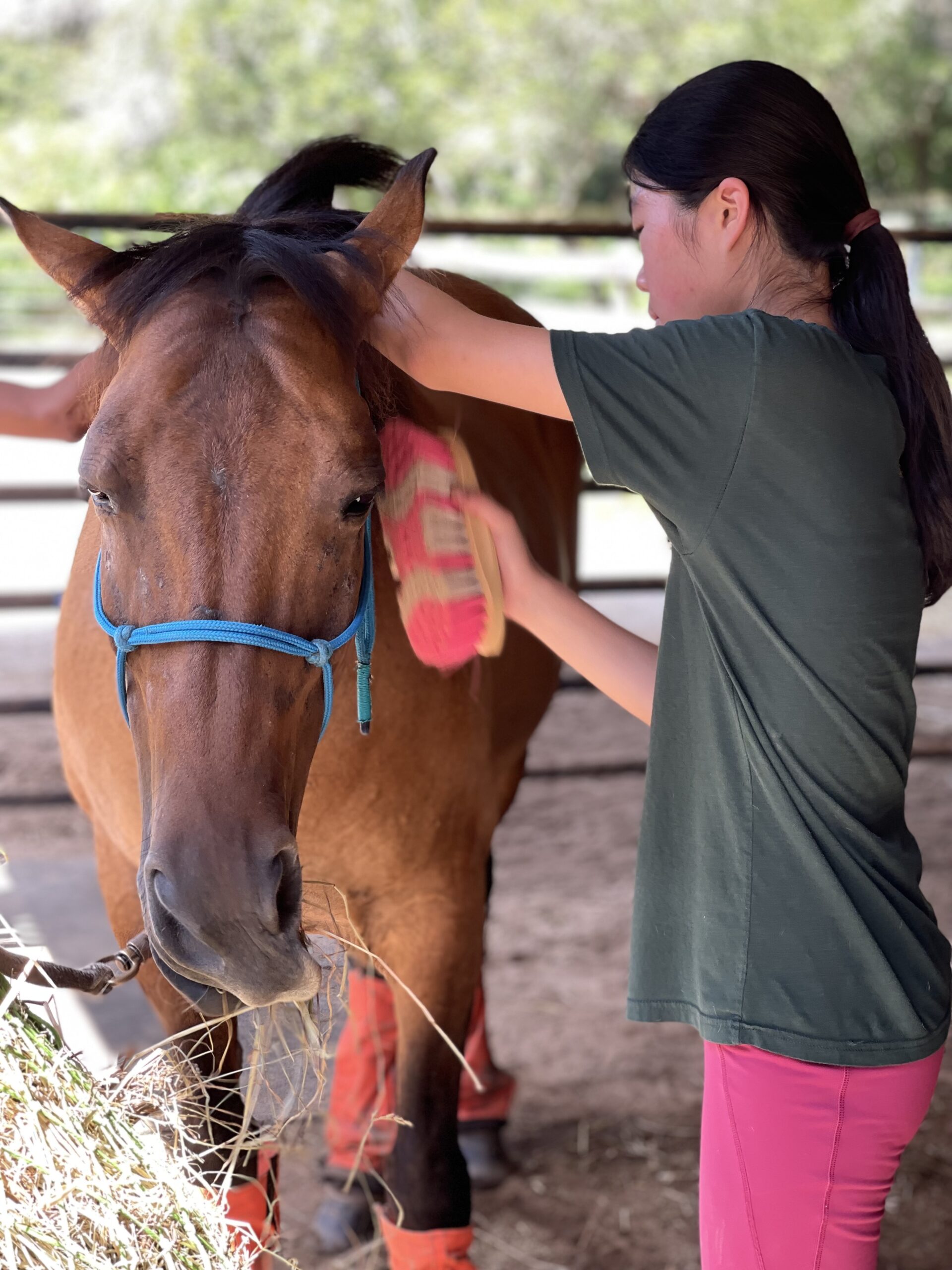 Rango says, "That's the spot!"