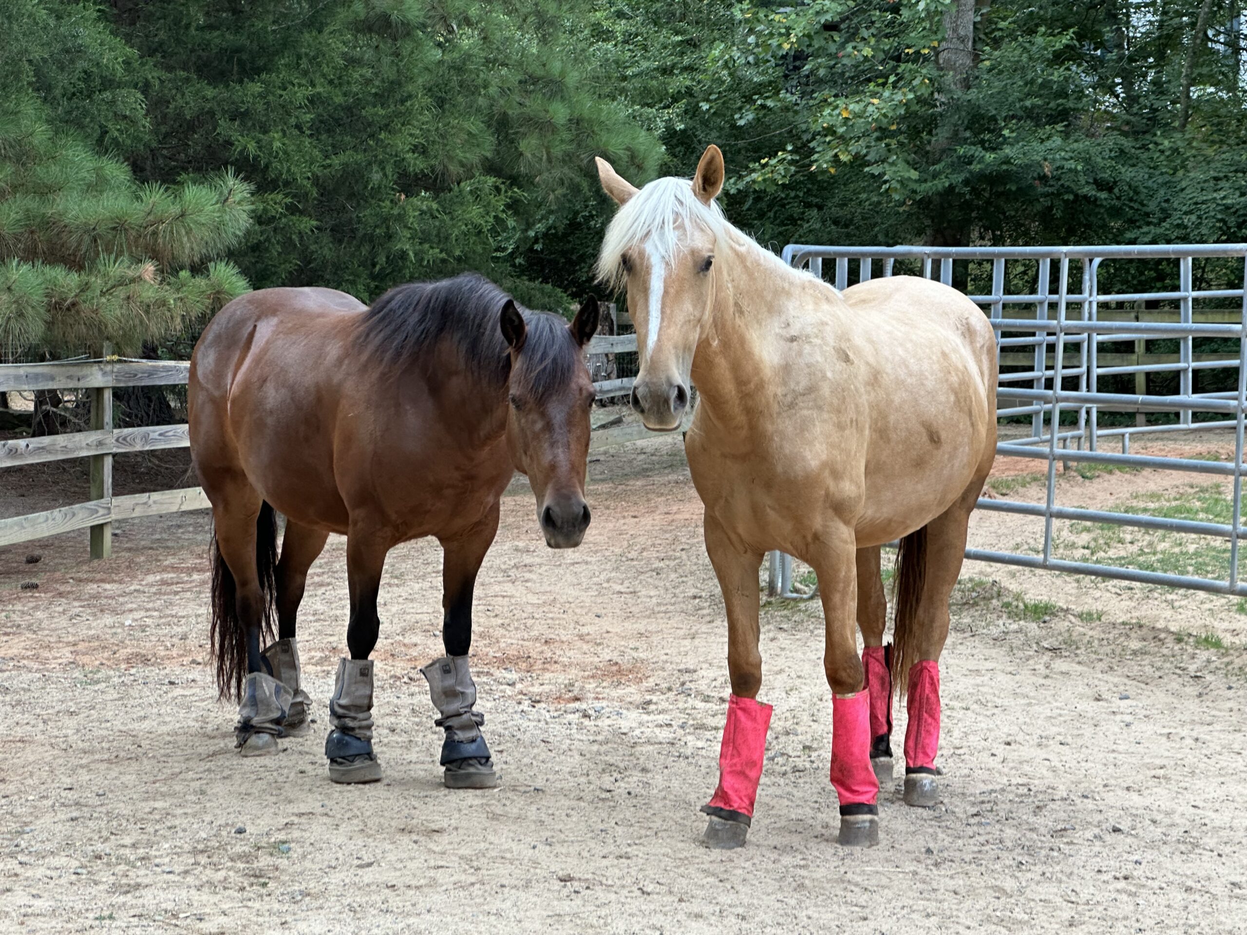 Prim and Heaven modeling their fly boots.