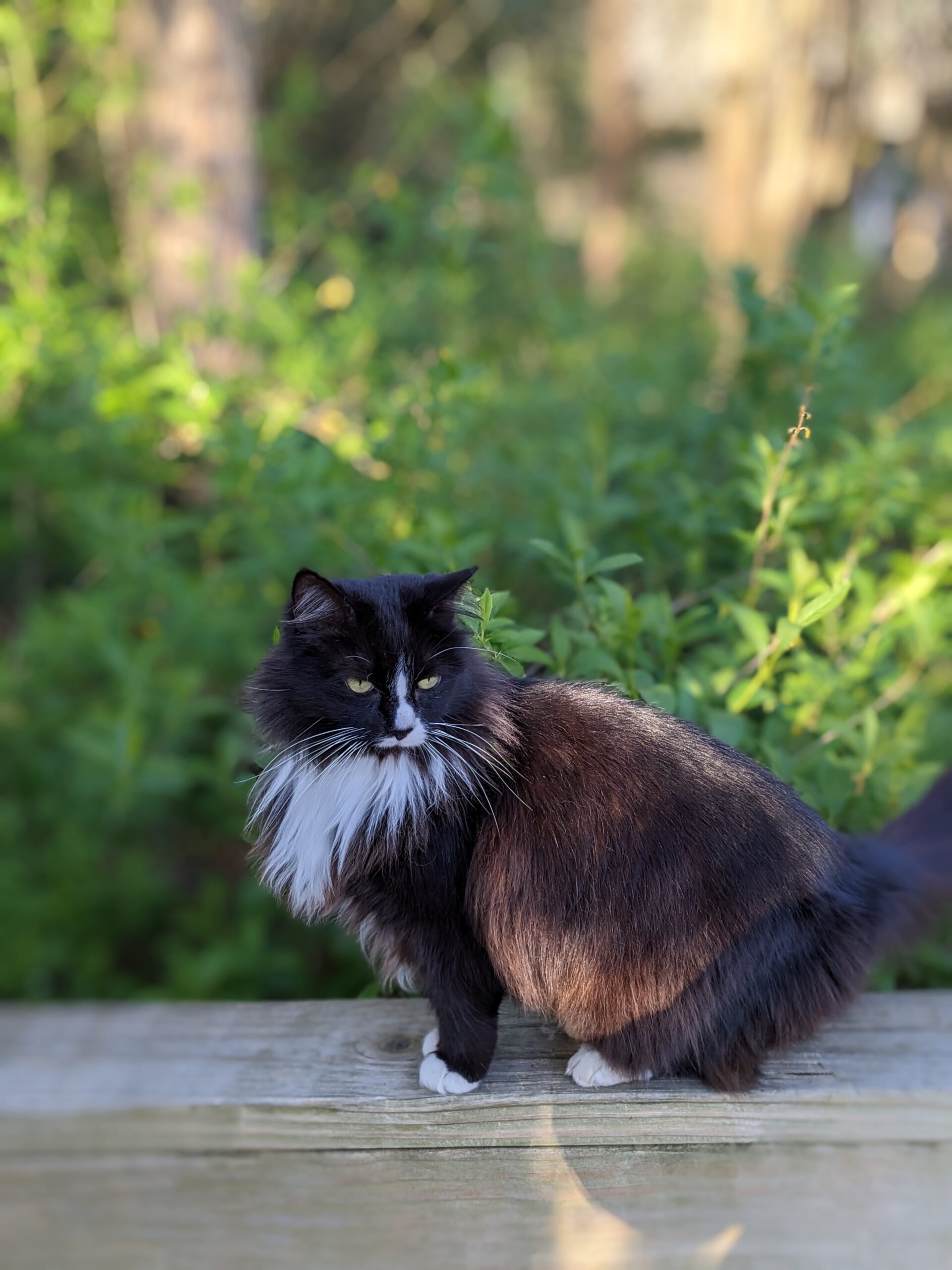 Maggie wants to be a calendar model.