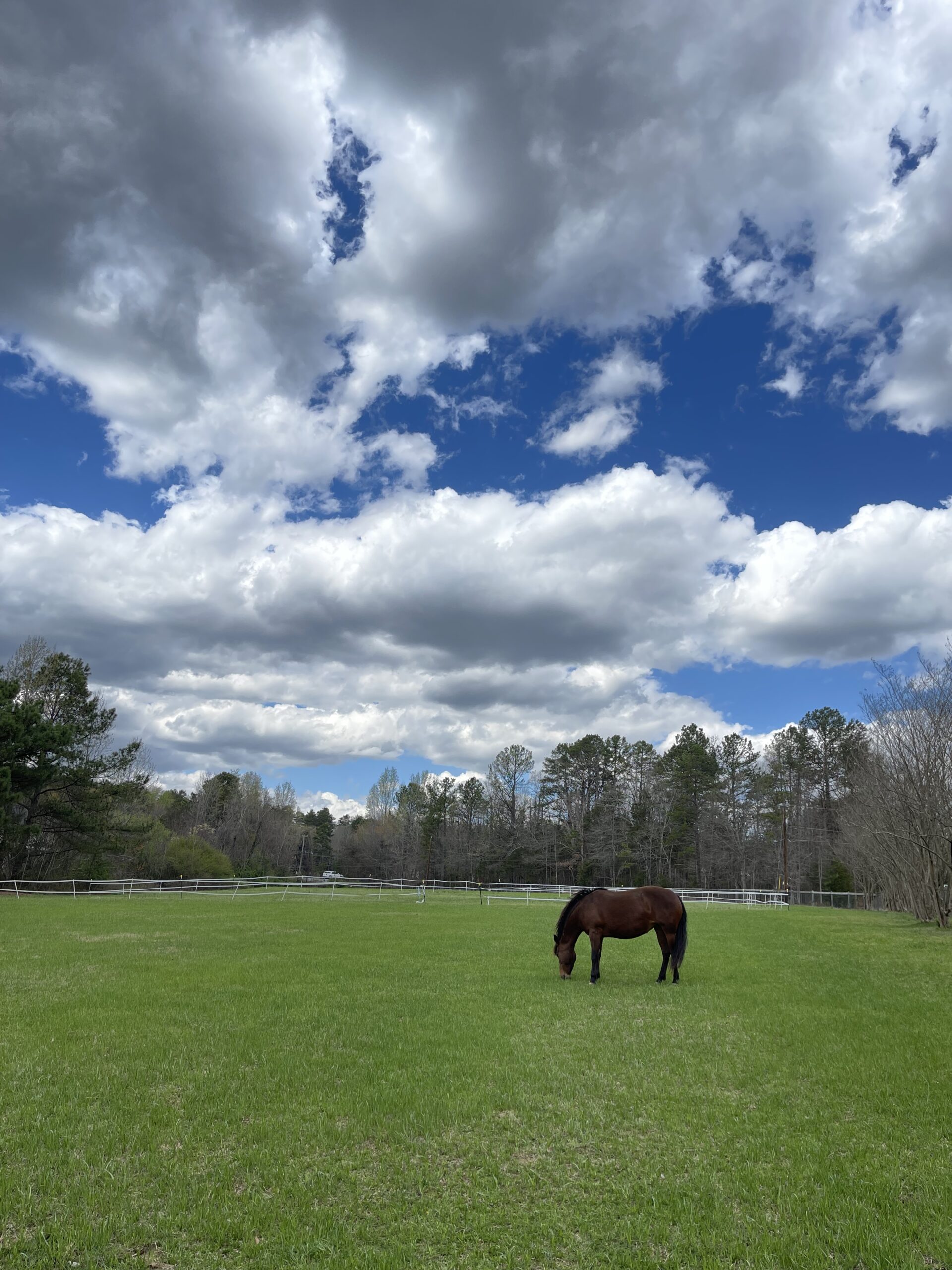 Prim says 'So much grass, so little time."