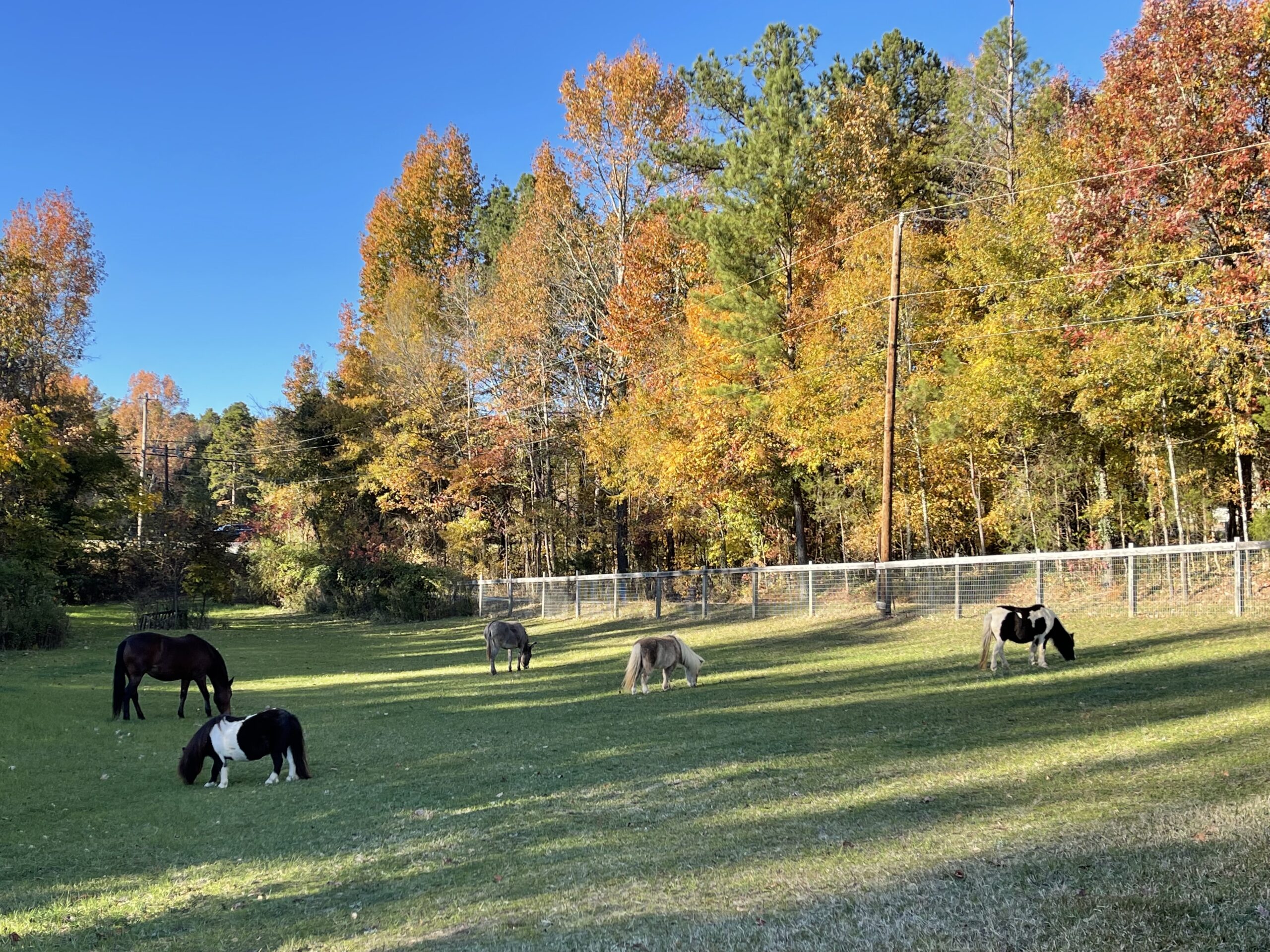 A beautiful day in the NEIGHborhood.