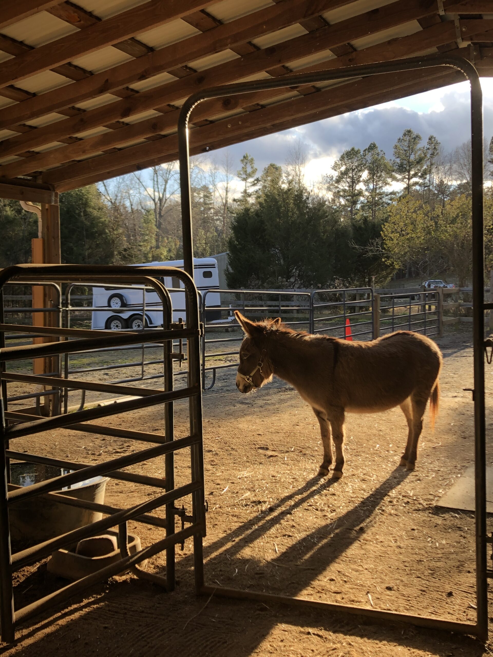 Buttercup, says "BRRR it's starting to get cold out."